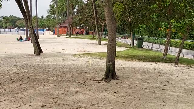 Sentosa beach singapore