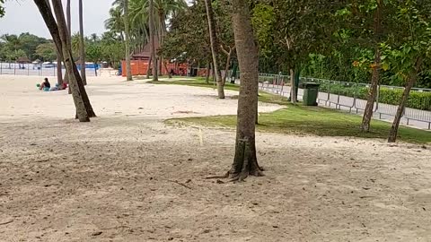 Sentosa beach singapore