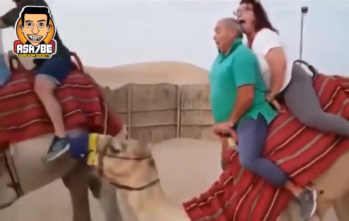 Camel video