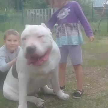 Too much protein, you sayI think not.