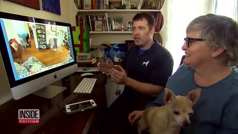 Dogs Tested to See Whether They’d Defend Owner During Home Invasion