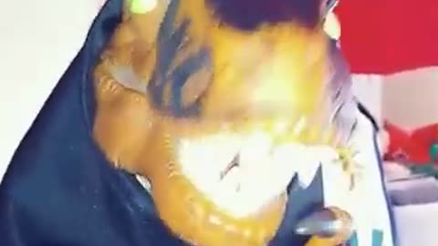 Mephiles Of Darkness MMD My old TikTok Account