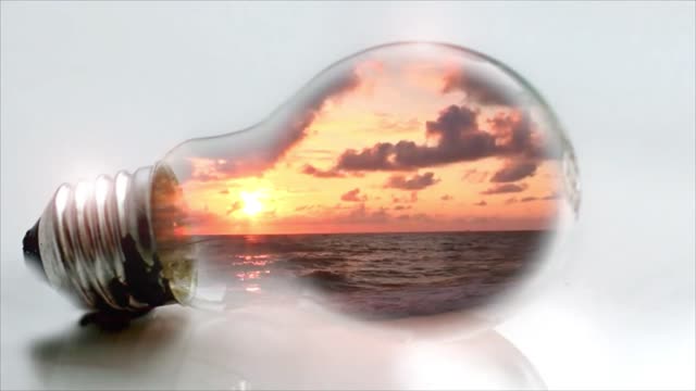 Did you know this about goldfish? 😎