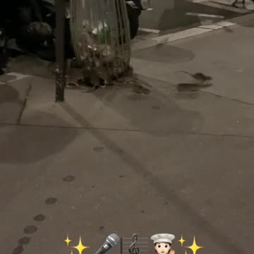 París se prepara para los Juegos Olímpicos de Verano.