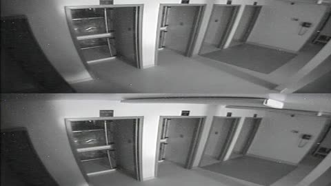 1704CRIB01CribAnalysisArea_2021-01-06_07h20min02s060ms.mp4