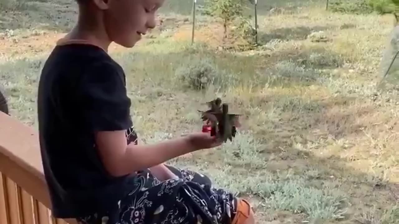 Hand feeding hummingbirds