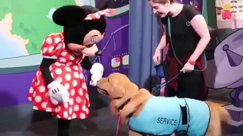 Interact with Mickey Mouse