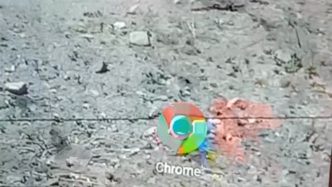 Exposing Chrome Chrome has 666 watching to the end the truth will surprise you 😮