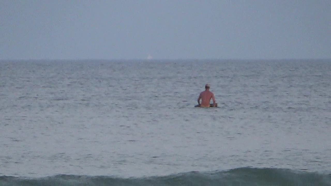 SURFER MEETS DOLPHINS - SEASIDE HEIGHTS, NJ - New Jersey Shore Beach Ocean Travel Surfing Animals