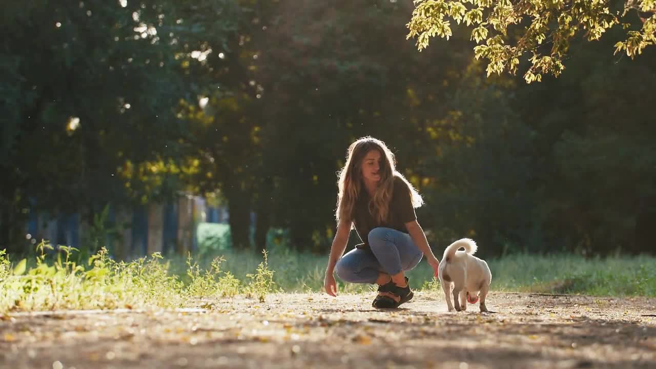 Attractive young woman playing with dog jack russel terrier in park during beautiful sunset