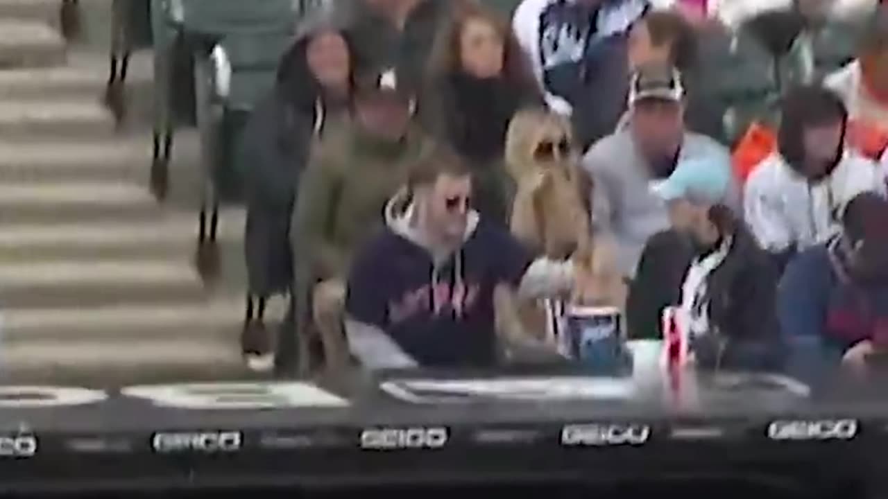 Kid in turtle costume gets foul ball and THROWS IT BACK!! 🤣🤣