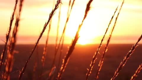 Sunset - Beautiful Nature Clips Videos #1