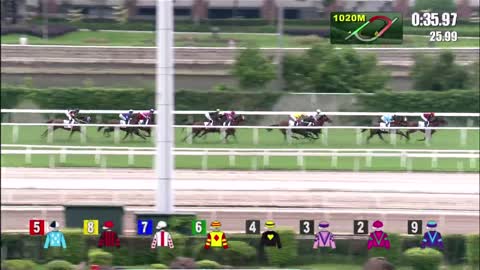 Horse_Race_2022061208_Chinese