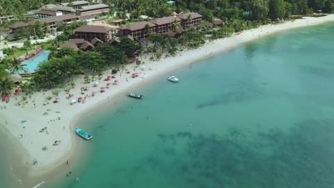 Beautiful beach surrounded by nature seen from above