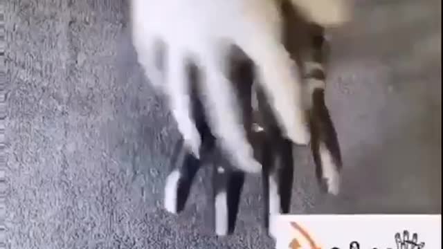 How to wash hand