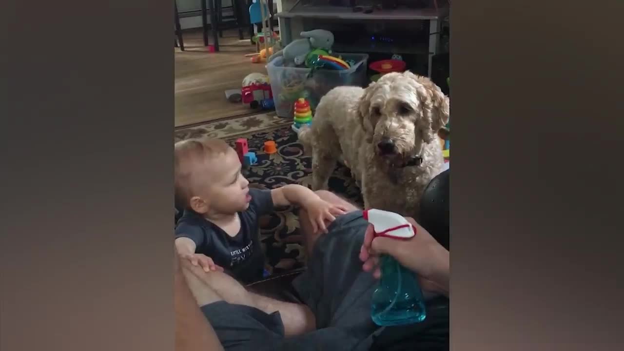 Cute babies playing with dogs