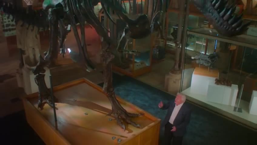 Planet pré-histórico episódio 01