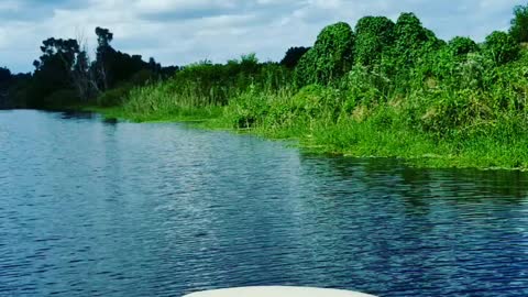 Pontoon Ride In My Backyard