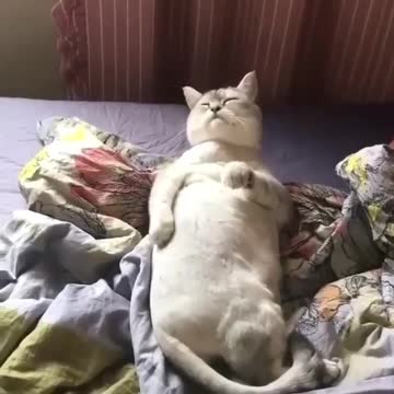 Dreaming of........ ? tell me in the comments bellow..