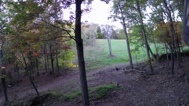 Archery Hunting in Central PA