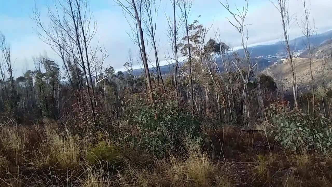 Windy mountain top ASMR - Outside Adventures