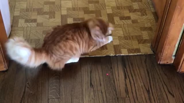 Rudy's favorite game