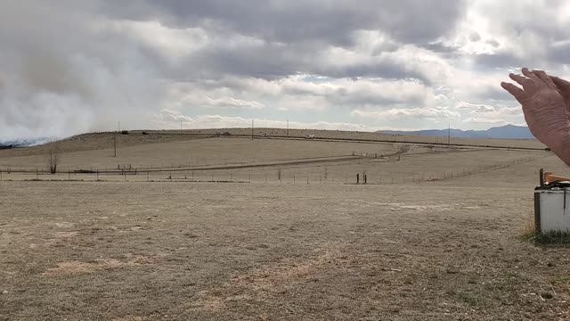 Nevada Fire's Lure Test 10 wks