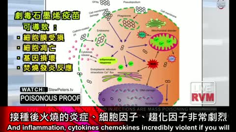 Stew Peters - Poisonous proof for COVID-Vaccine