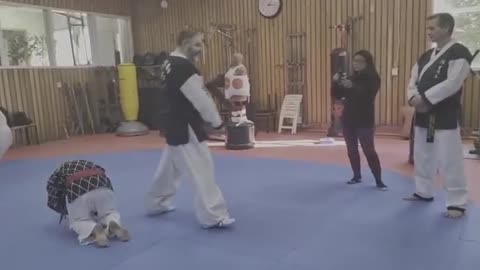 Hapkido