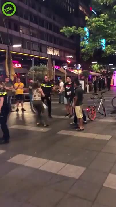 Police violence in the Netherlands