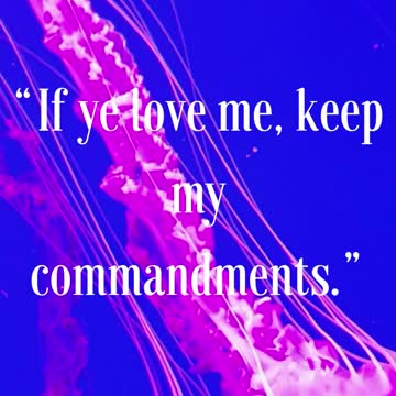 Jesus Said “If ye love me, keep my commandments.”