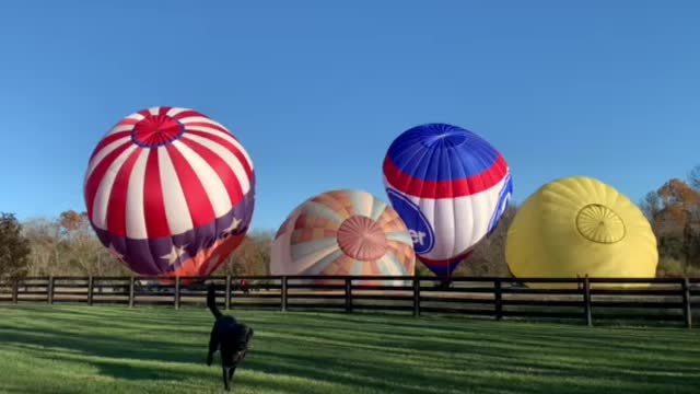 Hot Air Ballon