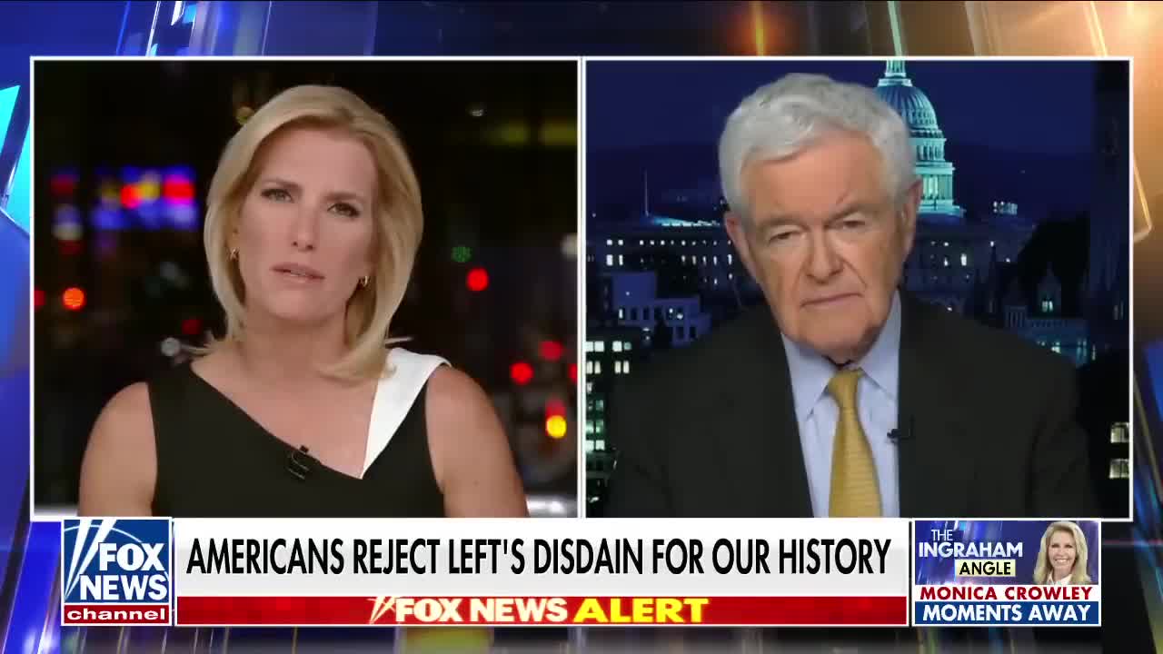 Newt Gingrich: This bill is an 'open invitation' to create 'left-wing mindset'
