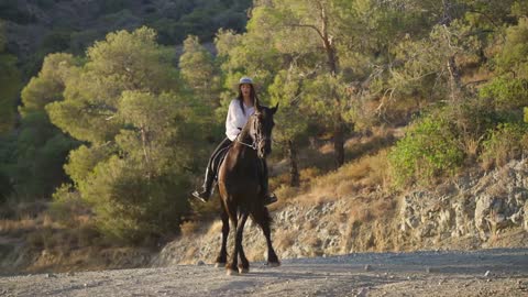 Front view of graceful horse making steps beating hoof moving aside with female equestrian on back