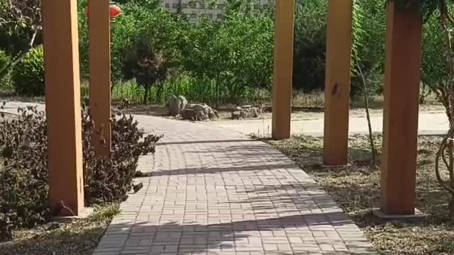 The paths in the park are so clean