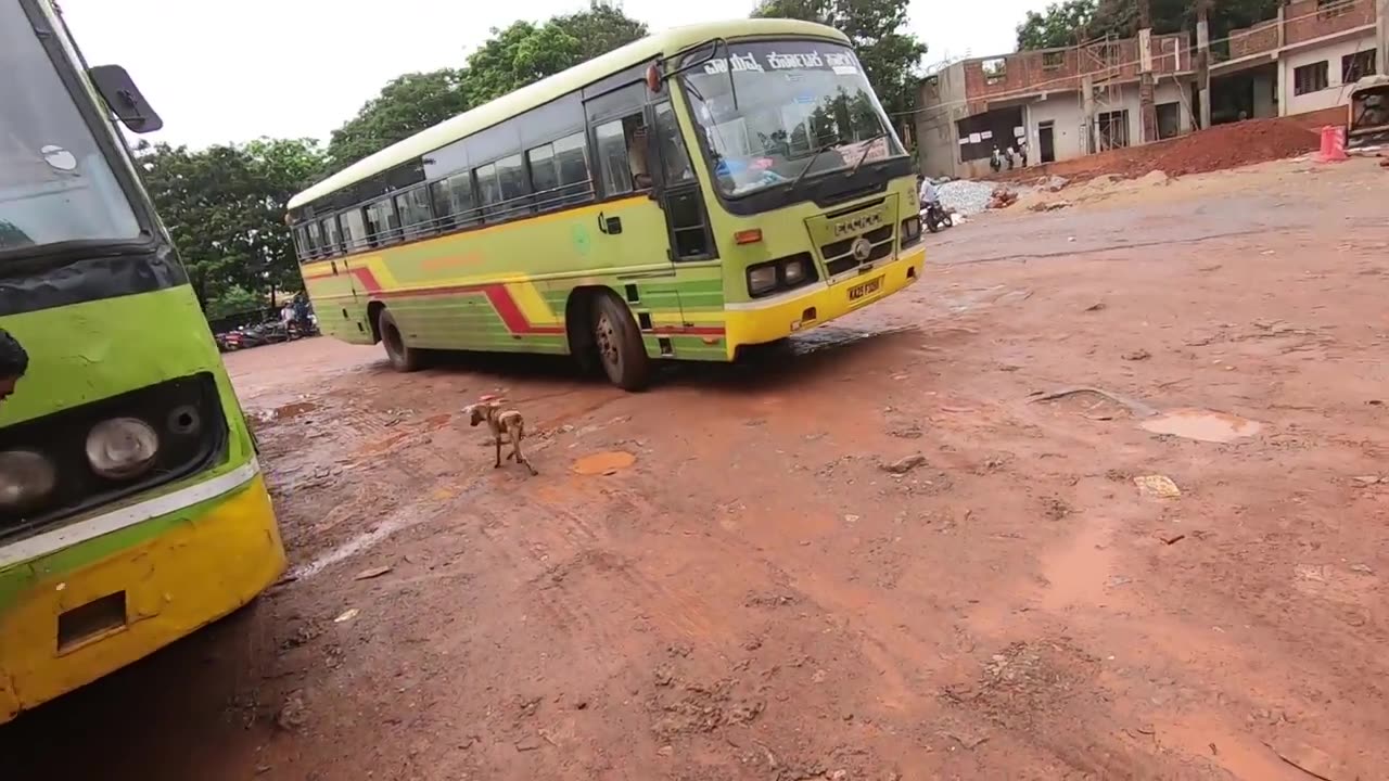 Foreigner Lost In INDIAN Bus Station | GOA, INDIA