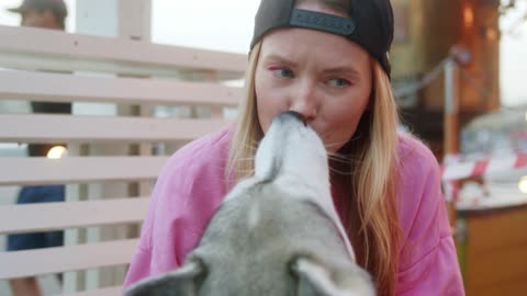 The cute dog eating food