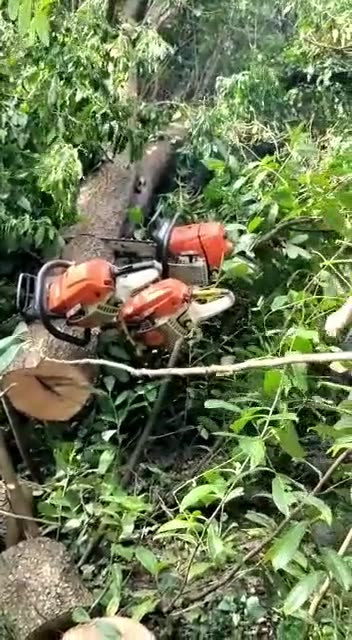 Has This Ever Happened to You When Cutting Logs #diy #powersaw #logs #homemade