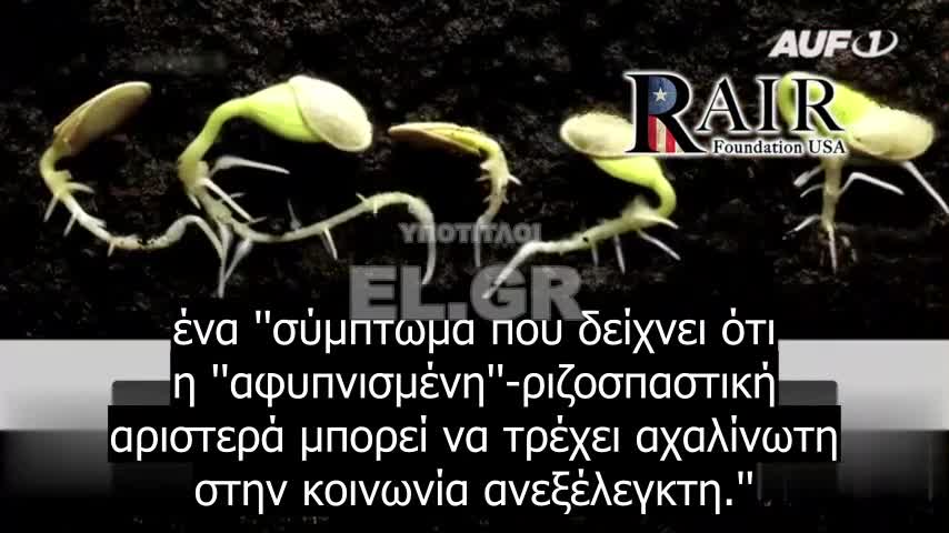 Ωθούν τα παιδιά να ταυτίζονται με ζώα