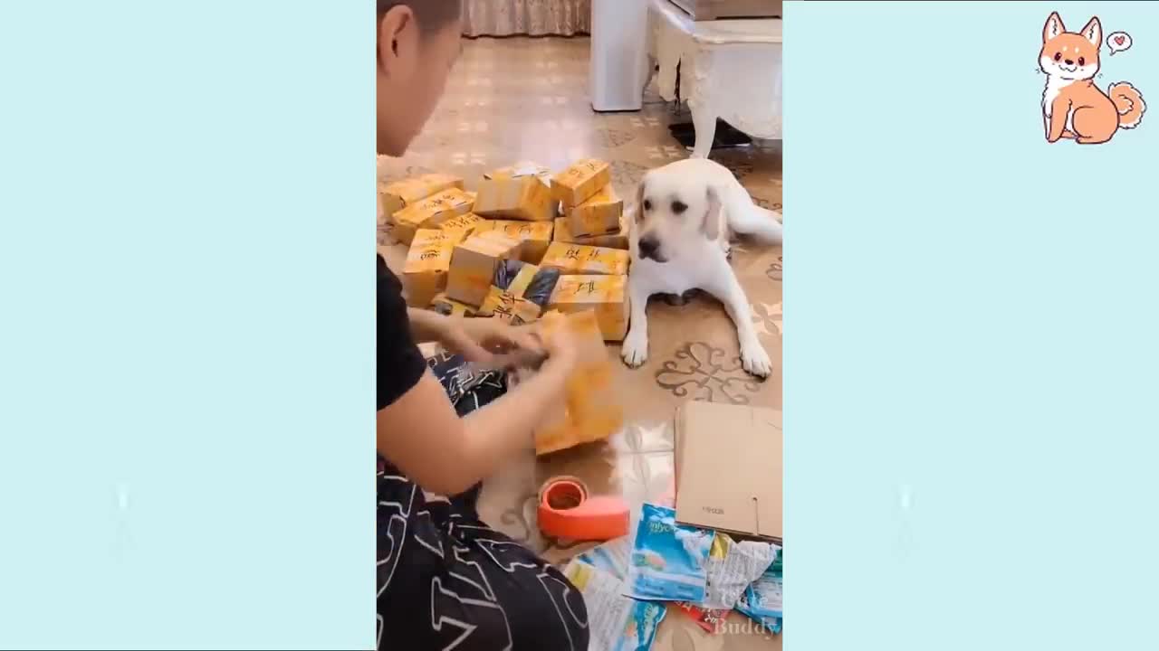 Super cute puppy | funny dog | puppies lover | sweet puppies