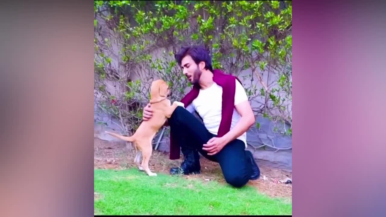 Imran Abbas Playing with Dog | Animal Lover |