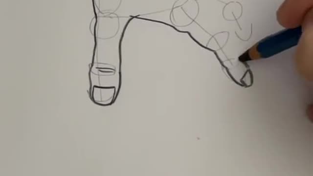 five easy steps to learn how to draw