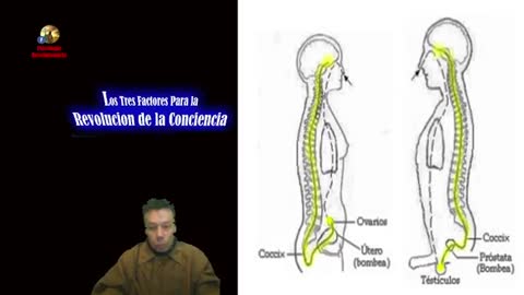 Los Tres Factores de la Revolución de la Conciencia