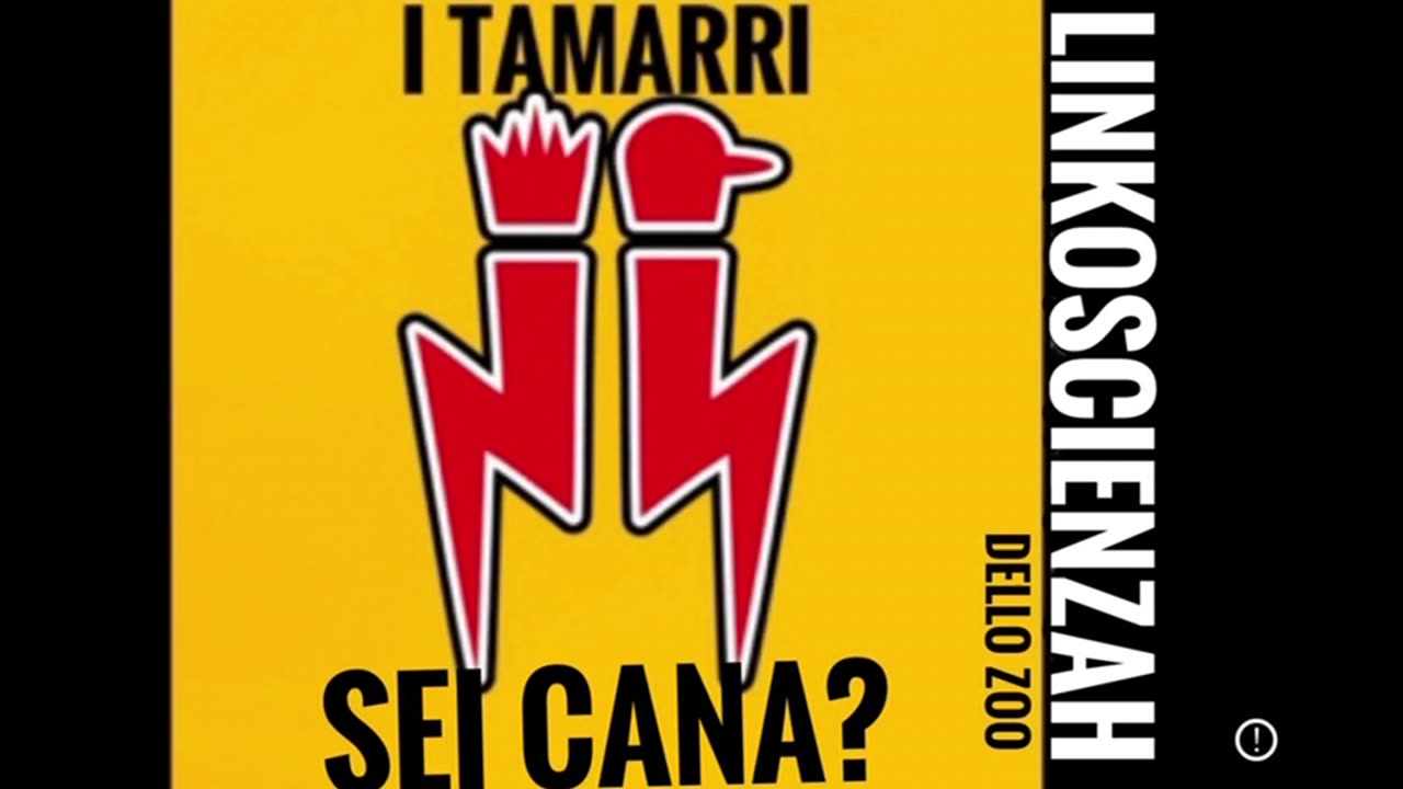 I Tamarri cercano un canile che sappia insegnare ai cani a farsi i propri caxxi