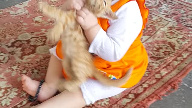 Baby and Cat Fun and Cute - Funny Baby