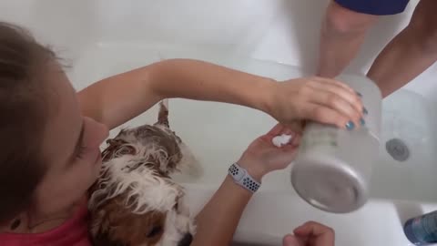 Puppy's First Bath!