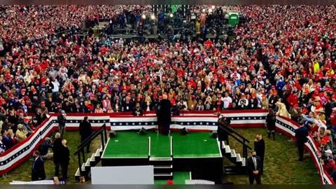 THE SWAMP RUNS DEEP.