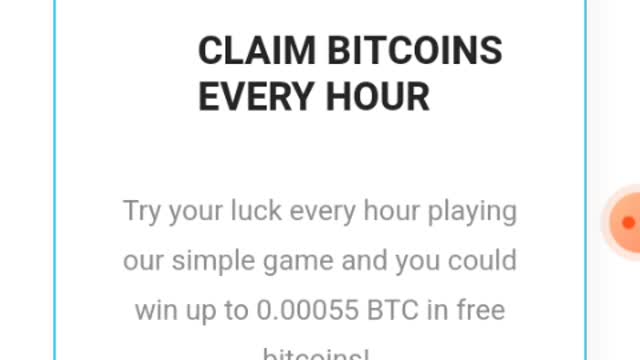 Bitking