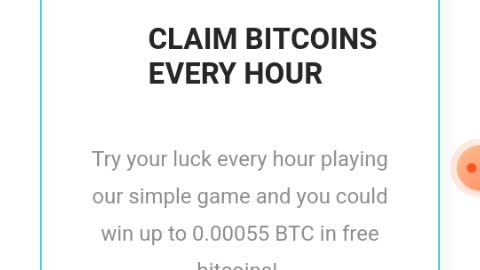 Bitking