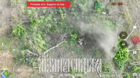 Drone Bomber Spotted Two AFU Militants in a Tree Line